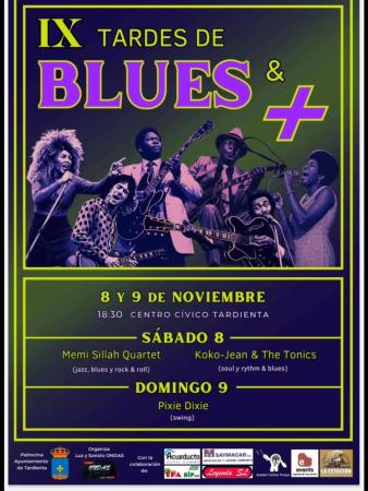 Imagen IX TARDES DE BLUES & +