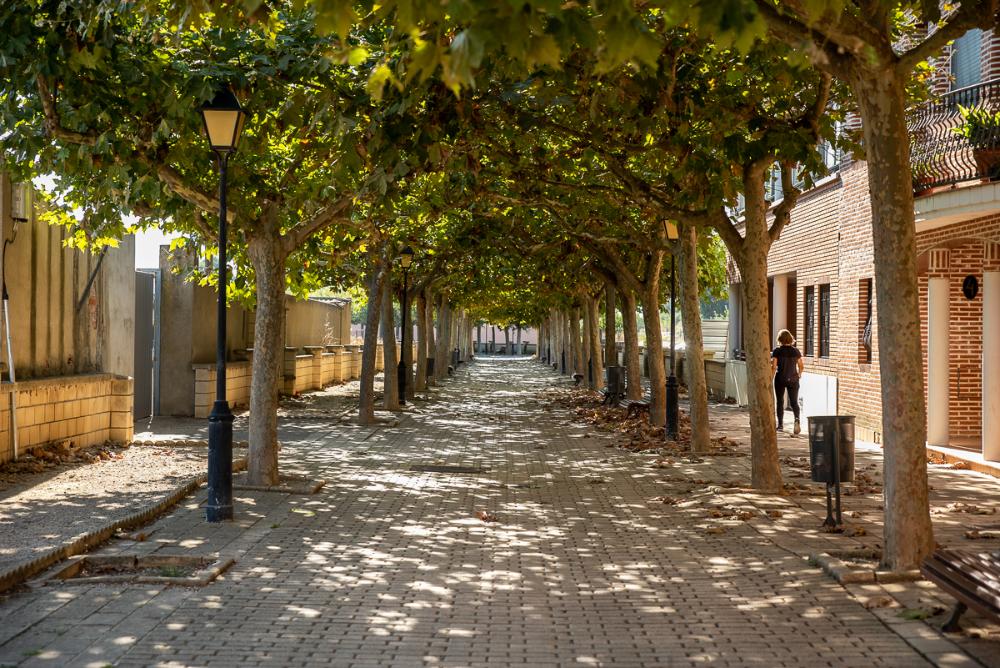Imagen Tardienta recibe una ayuda de la DPH para el suministro eléctrico municipal
