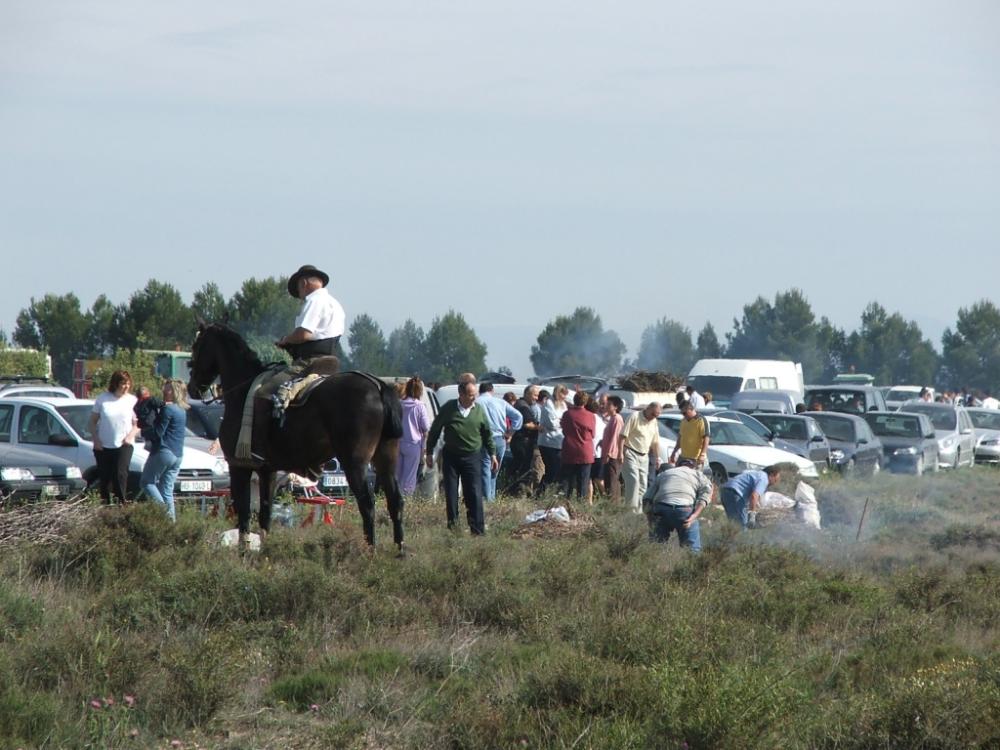 Imagen Fiestas de Tardienta