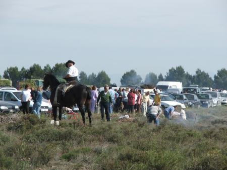 Romería Santa Quiteria (2)